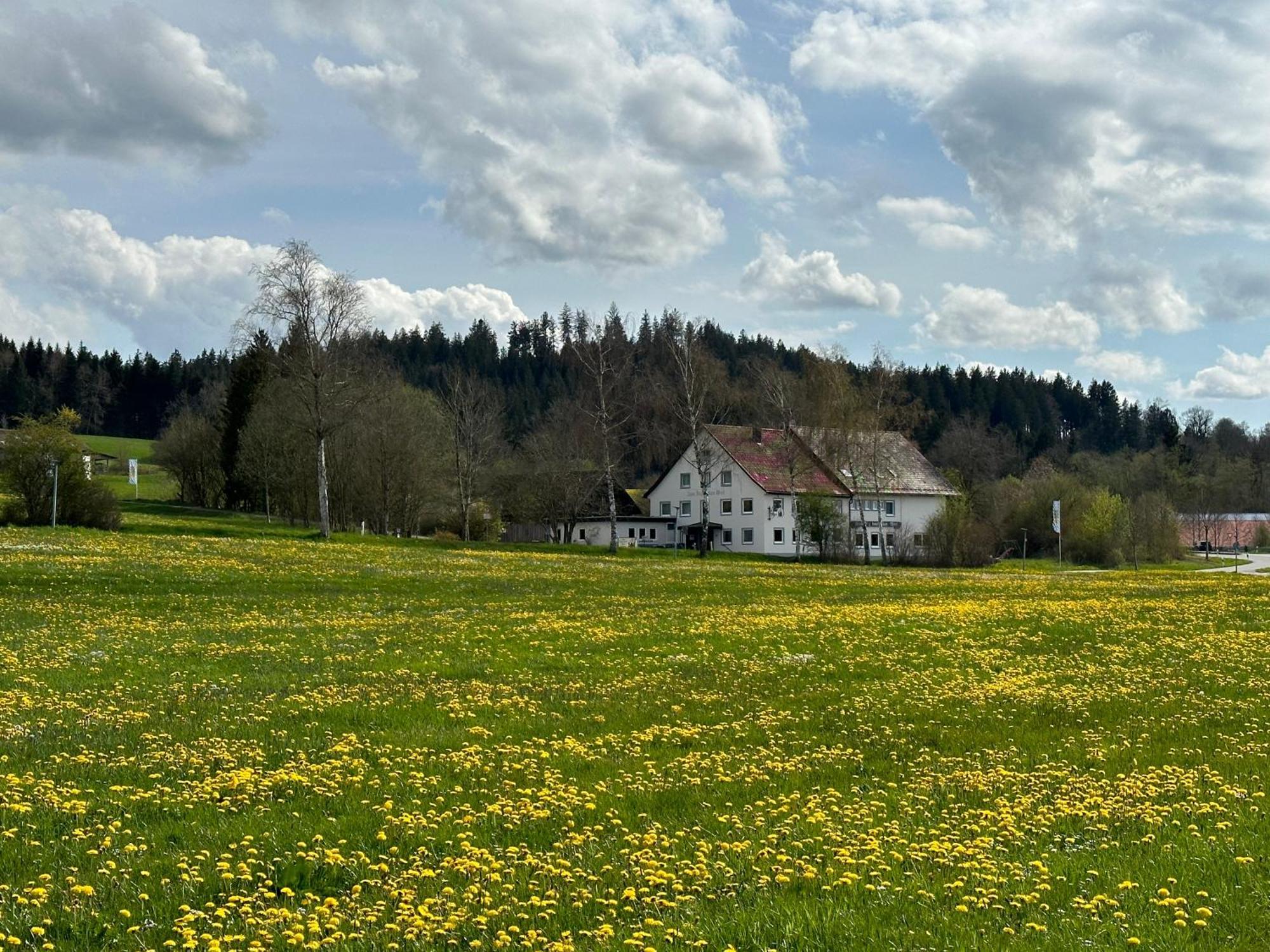Zum Bayrischen Wirt Hotel Maierhöfen Екстериор снимка